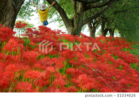 A woman waving in a hat under a cluster amaryllis along a bank that blooms in the sunlight through the trees and a fresh green cherry tree 81034626