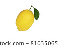 yellow lemon citrus fruit and green leaves 81035065