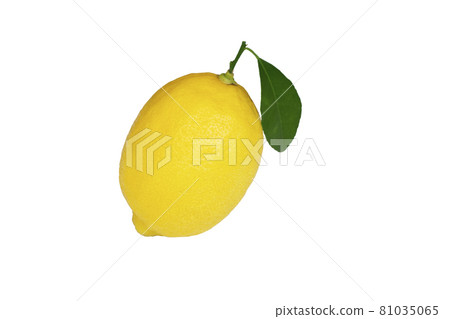 yellow lemon citrus fruit and green leaves yellow lemon citrus fruit and green leaves 81035065