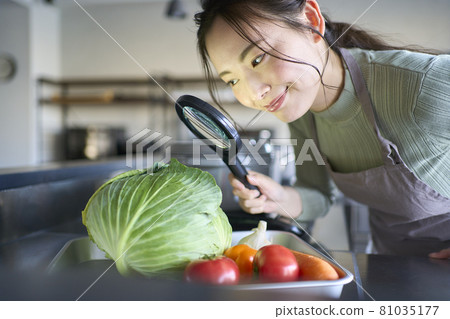 食品安全形象 81035177