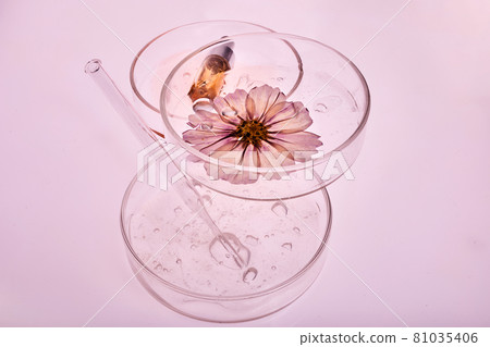 Abstract cosmetic laboratory. Chemical laboratory research. Nature cosmetics Abstract cosmetic laboratory. Chemical laboratory research. Nature cosmetics 81035406