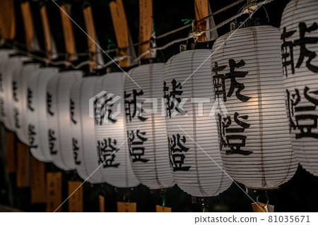 獻燈 獻燈 81035671