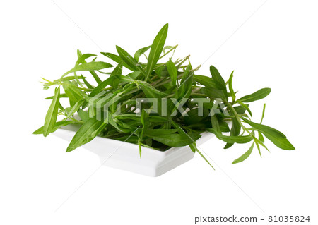 Fresh tarragon herbs, Tarragon herbs close up isolated on white background 81035824