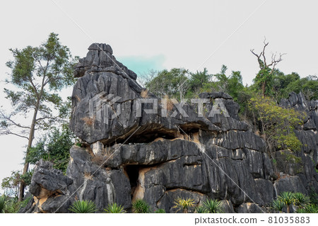 View of beautiful mountain Tourist Attractions in Loei Province atThailand 81035883