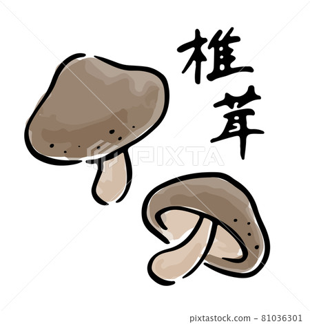 Shiitake Japanese style watercolor hand-painted vector illustration brush character set Shiitake Japanese style watercolor hand-painted vector illustration brush character set 81036301