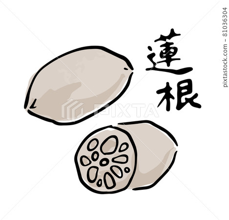 Lotus root Japanese style watercolor hand-painted vector illustration brush character set 81036304