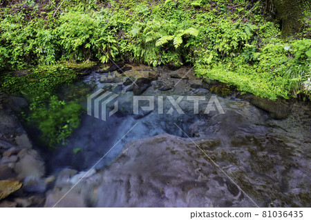 Oike Spring Group (Yufu City, Oita Prefecture), which is certified as one of the 100 best waters in Japan 81036435