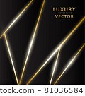 Abstract black luxury background vector 81036584