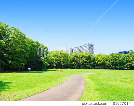 郊區住宅區藍天綠地公園空地 81037014