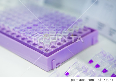 Pcr well plate on 96 well microplate with biological samples 81037073