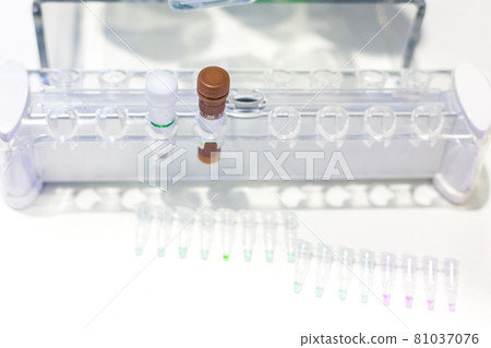 Pcr well plate microplate with biological samples 81037076