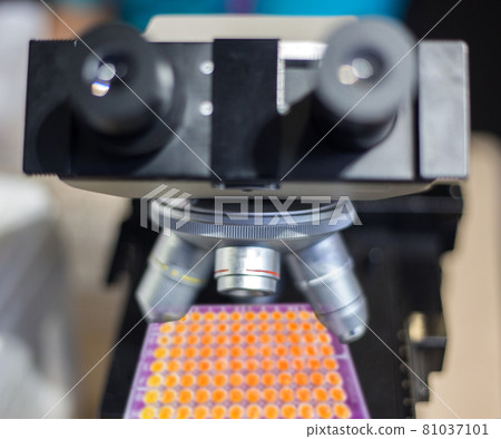 Pcr well plate on 96 well microplate with biological samples 81037101