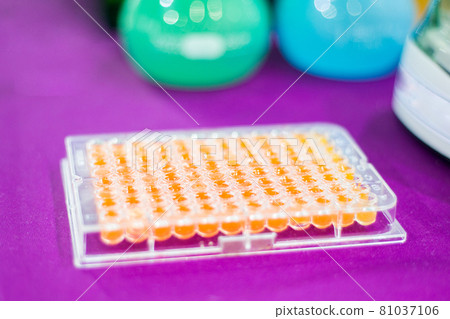 Pcr well plate on 96 well microplate with biological samples 81037106