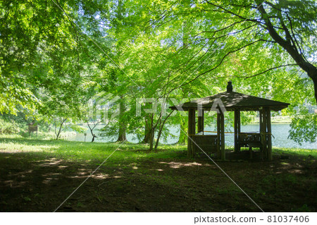 Resting place surrounded by beautiful greenery Resting place surrounded by beautiful greenery 81037406