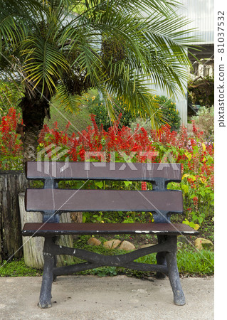 Landscaping in the garden. The path in the garden. Landscaping in the garden. The path in the garden. 81037532