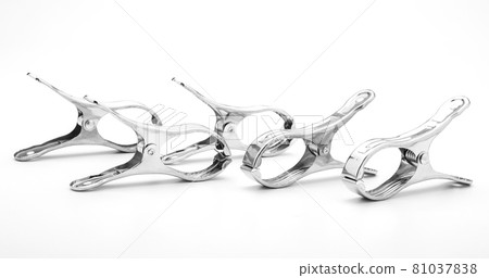 The stainless steel clamp is placed on a white background. 81037838