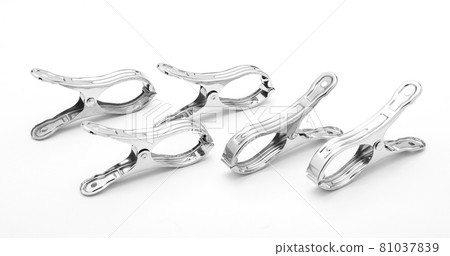 The stainless steel clamp is placed on a white background. 81037839