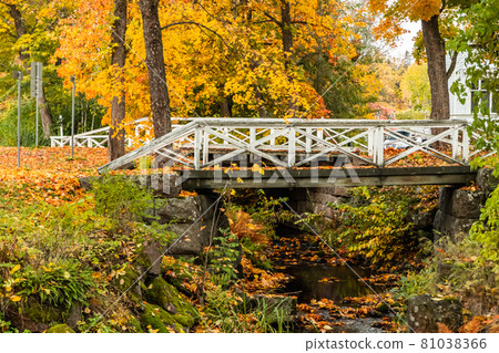 Old wooden bridge in misty autumn park in Finland 81038366