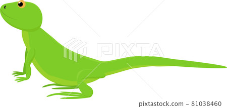 Cartoon bright green cute lizard that looks up Cartoon bright green cute lizard that looks up 81038460