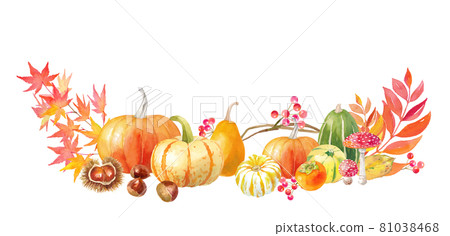 Decorative watercolor illustrations for Thanksgiving Day and Halloween. Pumpkins and chestnuts. (Watercolor trace vector data) 81038468