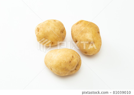 Potato White Back 81039010