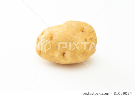 馬鈴薯白背 馬鈴薯白背 81039034