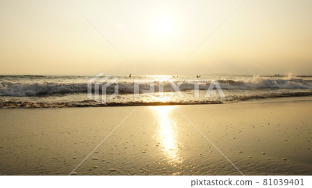 夕陽的海灘 夕陽的海灘 81039401