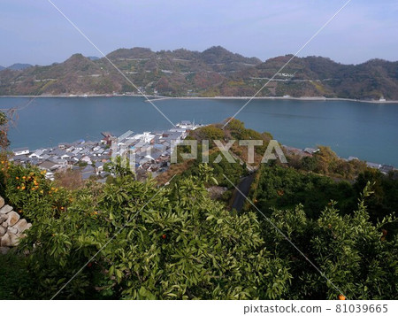 Mitarai Town and the Seto Inland Sea seen from the observatory (Osaki-Shimojima, Kure City, Hiroshima Prefecture) Mitarai Town and the Seto Inland Sea seen from the observatory (Osaki-Shimojima, Kure City, Hiroshima Prefecture) 81039665