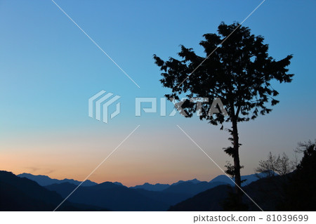 Alishan Sunrise 81039699