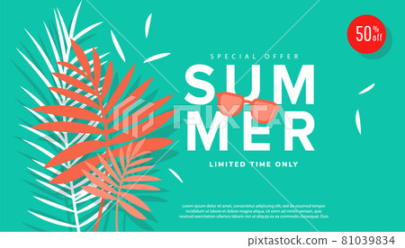 Hello summer sale banner design with tropical leaves on striped green background for store marketing promotion. 81039834