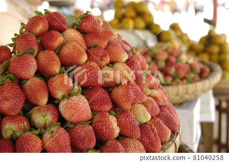 Strawberry Strawberry 81040258