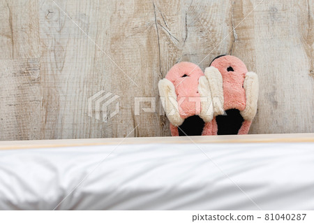 Good morning and lifestyle. Cozy home interior, domestic comfort concept Good morning and lifestyle. Cozy home interior, domestic comfort concept 81040287