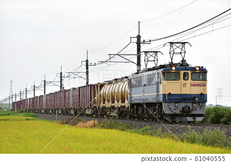 成田線 名川-下佐-神崎 JR Freight EF65-2066(新鶴見) 成田線 名川-下佐-神崎 JR Freight EF65-2066(新鶴見) 81040555