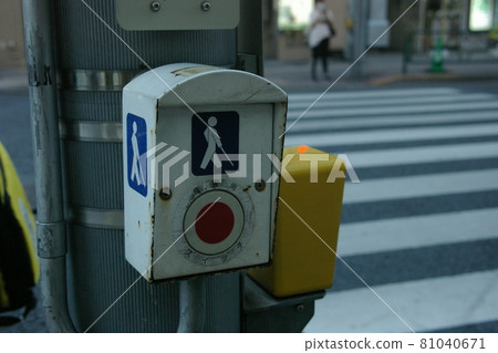 crosswalk crosswalk 81040671