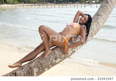 woman in bikini lying on palm tree on the sea beach woman in bikini lying on palm tree on the sea beach 81041947
