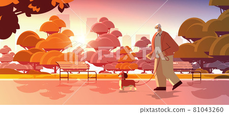 active senior man walking in park with his little dog grandfather relaxing with pet sunset cityscape background 81043260