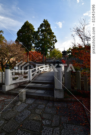 Komaki Komingoji秋葉 Komaki Komingoji秋葉 81043496