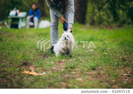 Beautiful woman with playful young dog Beautiful woman with playful young dog 81043518
