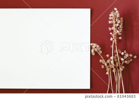 red background with dry flowers and empty paper page red background with dry flowers and empty paper page 81043683