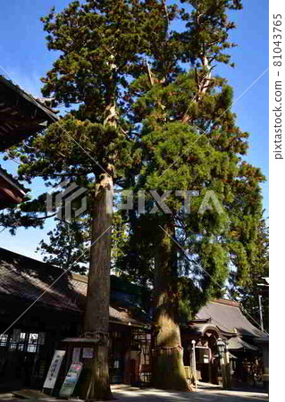 From Mt. Myoken 81043765