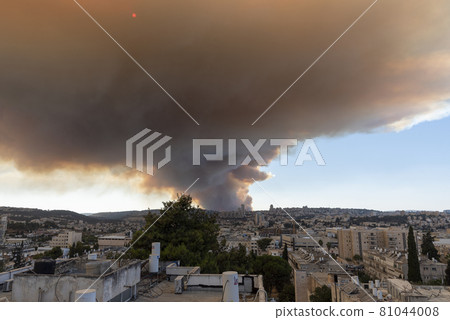 Jerusalem, Israel - August 15, 2021: Two israeli firemen putting an end to a forest fire near Jerusalem. 81044008