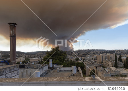 Jerusalem, Israel - August 15, 2021: Two israeli firemen putting an end to a forest fire near Jerusalem. Jerusalem, Israel - August 15, 2021: Two israeli firemen putting an end to a forest fire near Jerusalem. 81044010