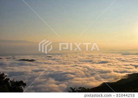 野坂川村的雲海 81044258