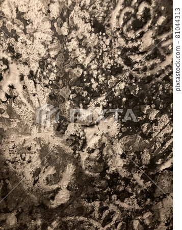 chaos chaos 81044313