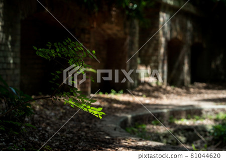 【友之島】第三砲台遺蹟的臼形臼痕 【友之島】第三砲台遺蹟的臼形臼痕 81044620