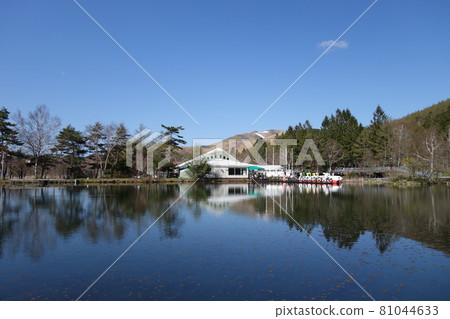 Shirakabako Shirakabako 81044633