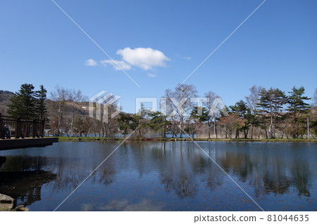 Shirakabako Shirakabako 81044635