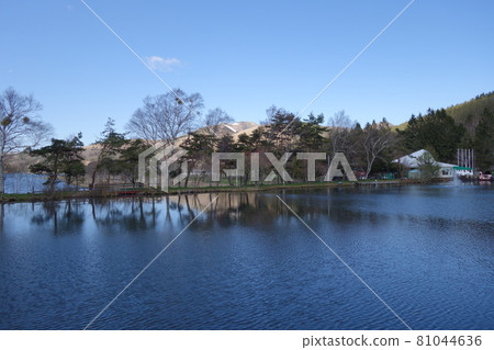 Shirakabako Shirakabako 81044636