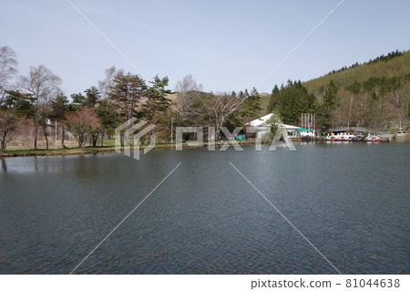 Shirakabako Shirakabako 81044638