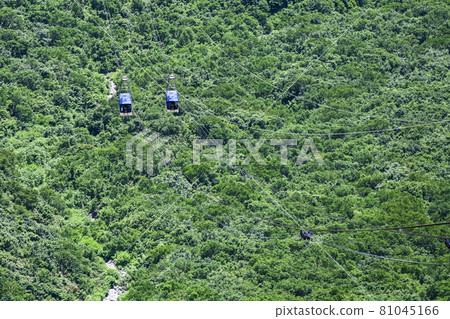 從大觀坊站看到的立山索道 從大觀坊站看到的立山索道 81045166